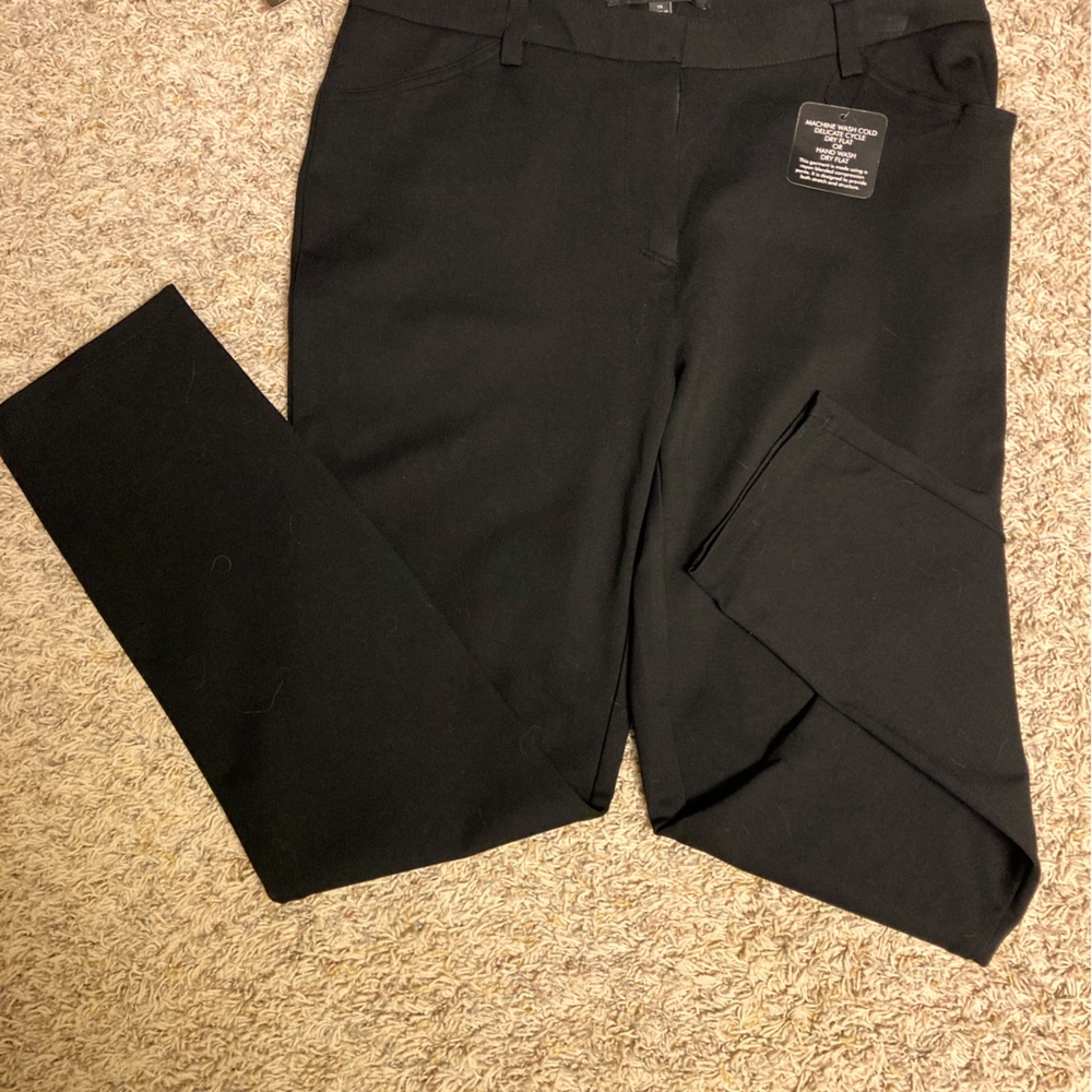 Women’s Dress Leggings/Pants